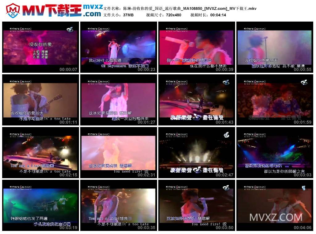 陈琳-没收你的爱_国语_流行歌曲_MA108850